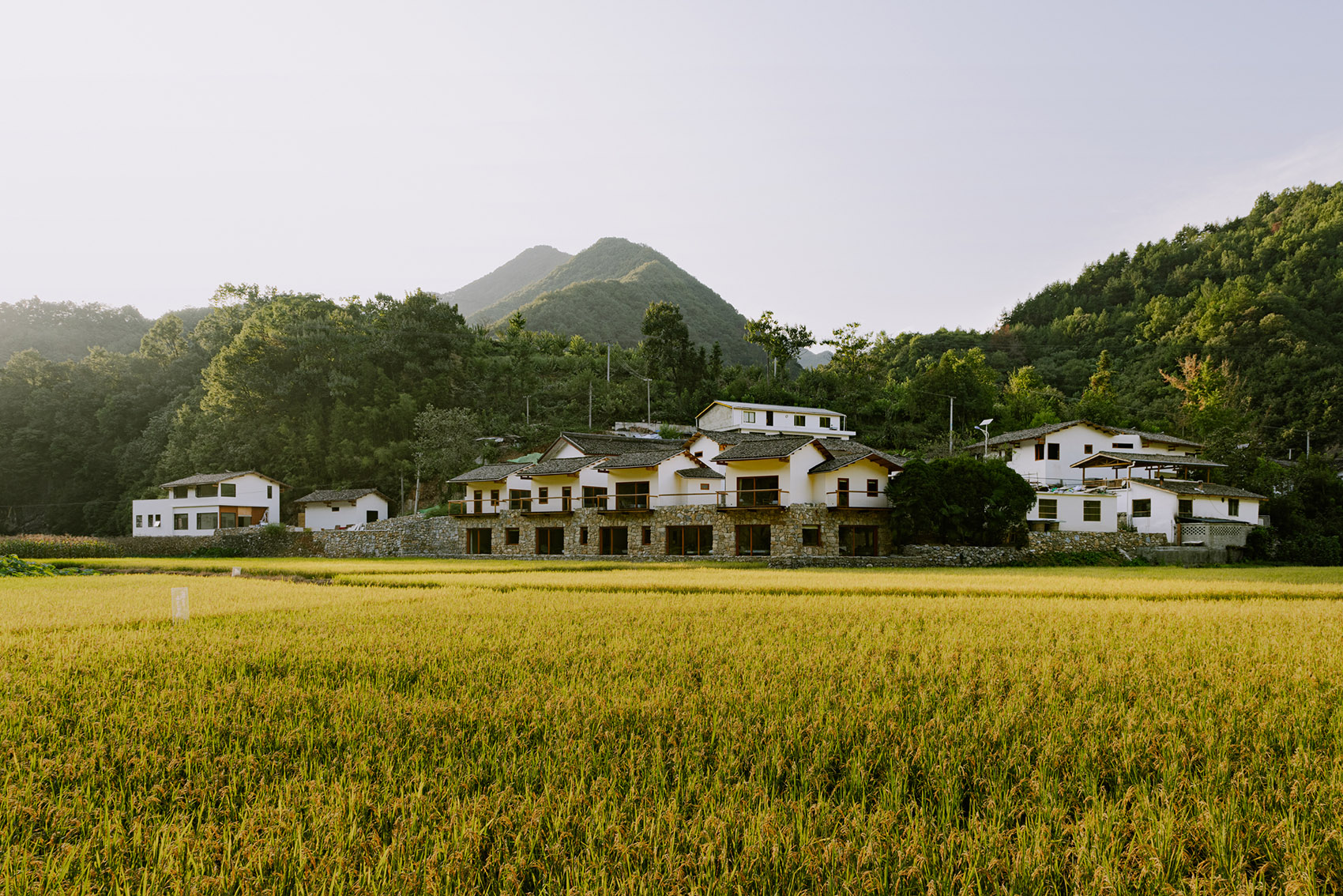 陕西安康宁陕·"鹿柴山集"民宿