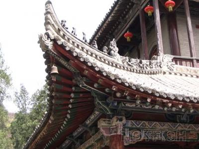 img005.jpg