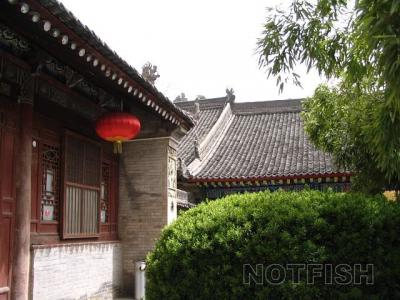 img008.jpg