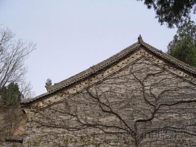 img019.jpg
