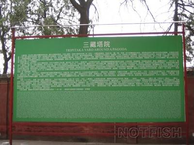 img022.jpg