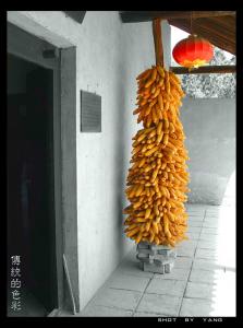 传统的色彩.jpg