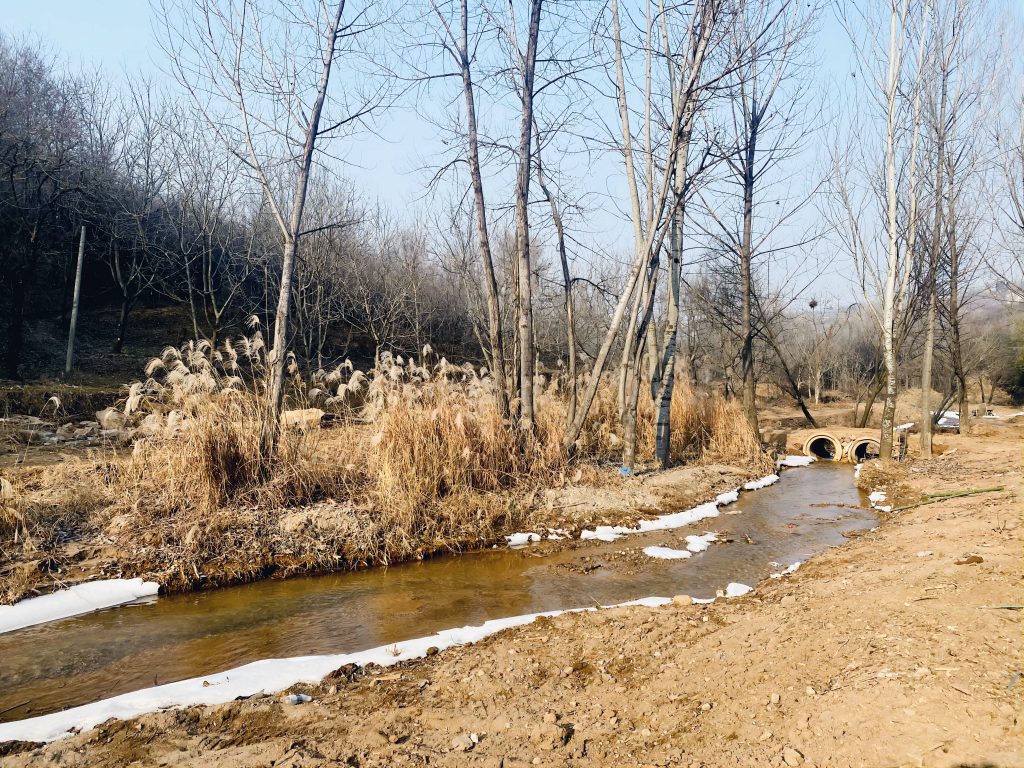 过溪.门前小溪